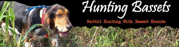 HuntingBassets.com...Rabbit Hunting With Basset Hounds